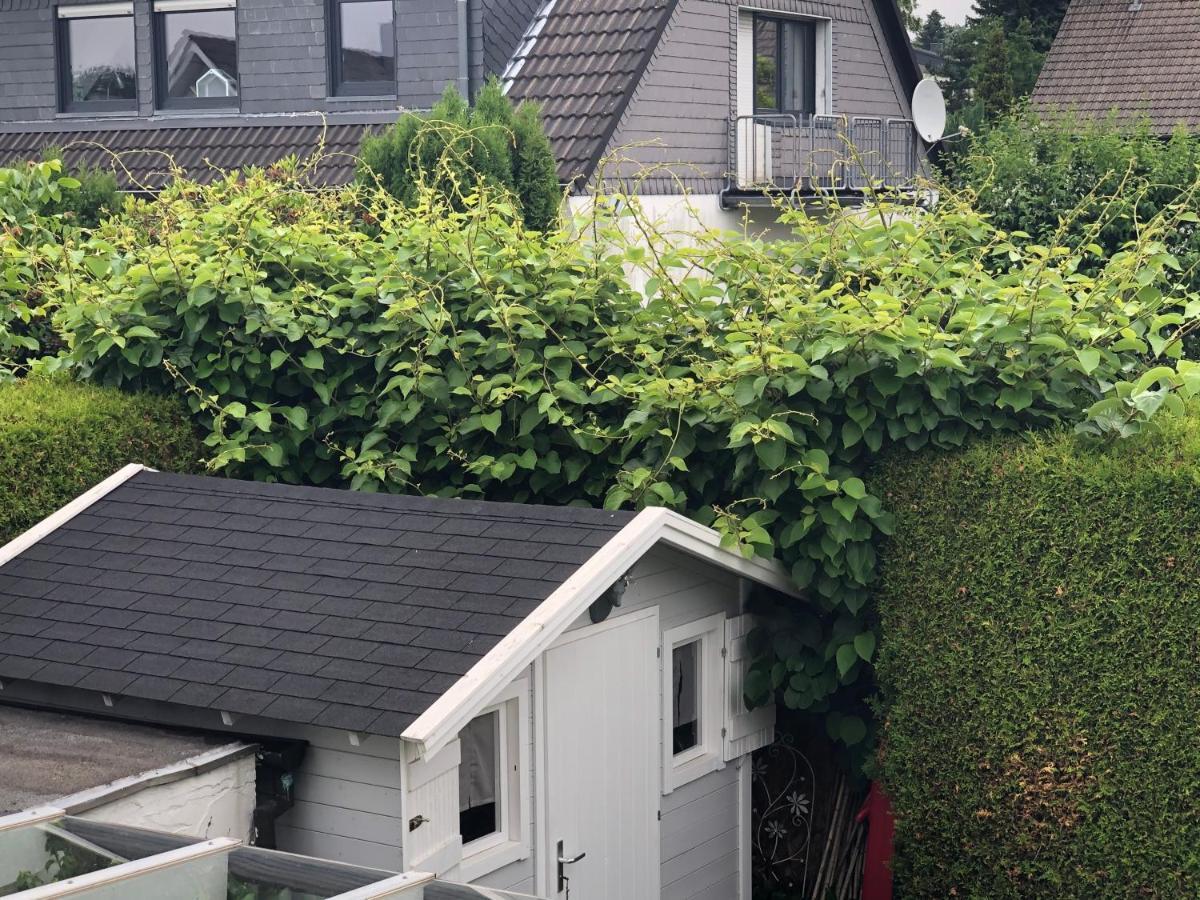 Bel Art Etage Mit Grossem Parkplatz Lägenhet Haan Exteriör bild