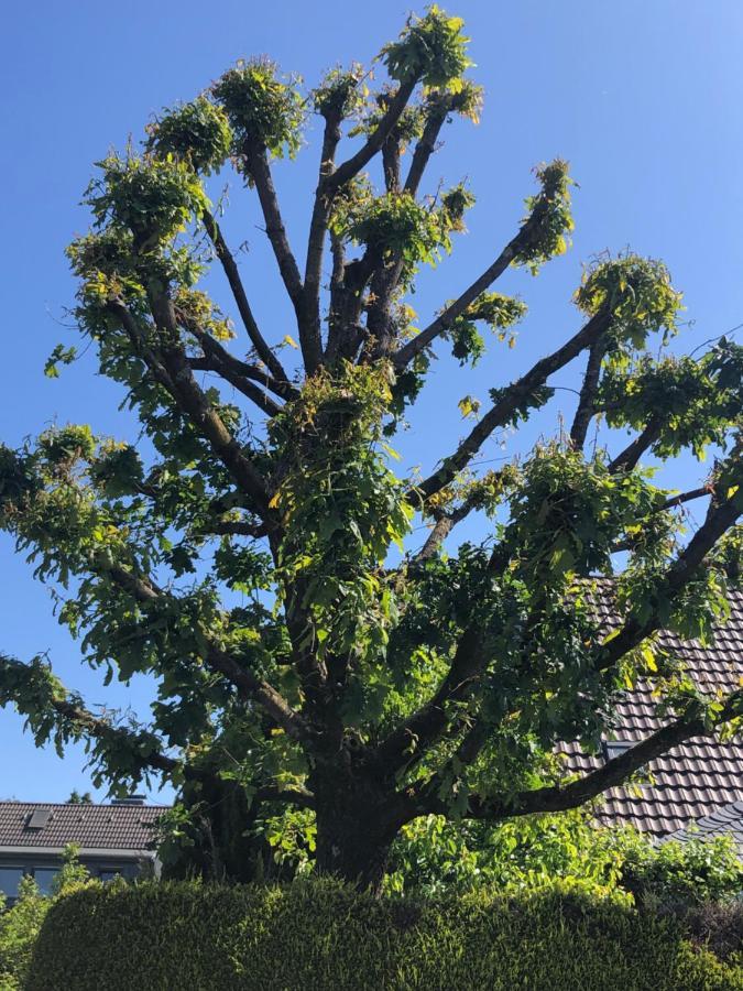 Bel Art Etage Mit Grossem Parkplatz Lägenhet Haan Exteriör bild